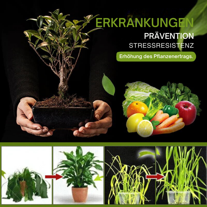 2+1 Gratis | 3-Tage-Aktivator für Gartenerde