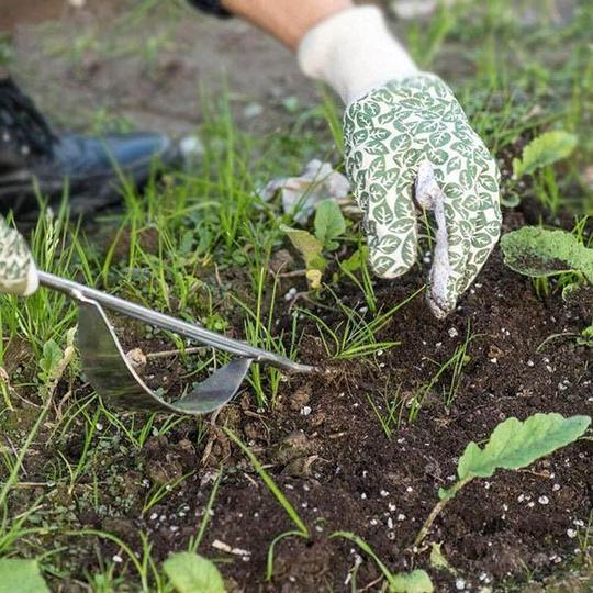 Garten-Hand-Unkrautjäter