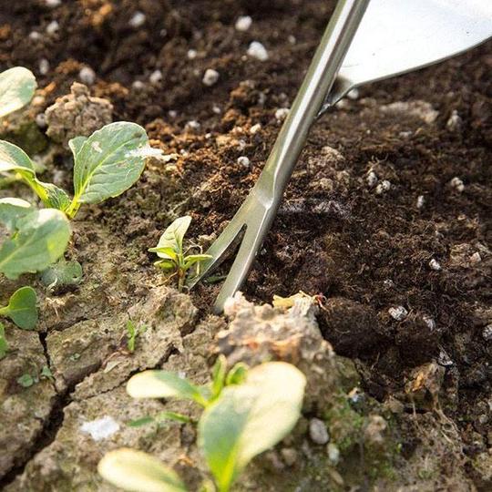 Garten-Hand-Unkrautjäter