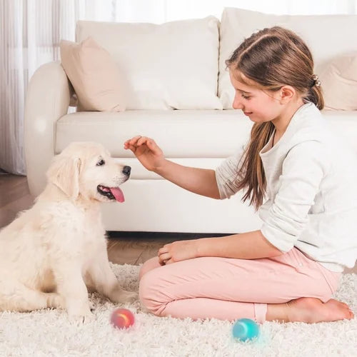 WLOOM Power Ball Selbstbewegliche Kugel. für Katzen