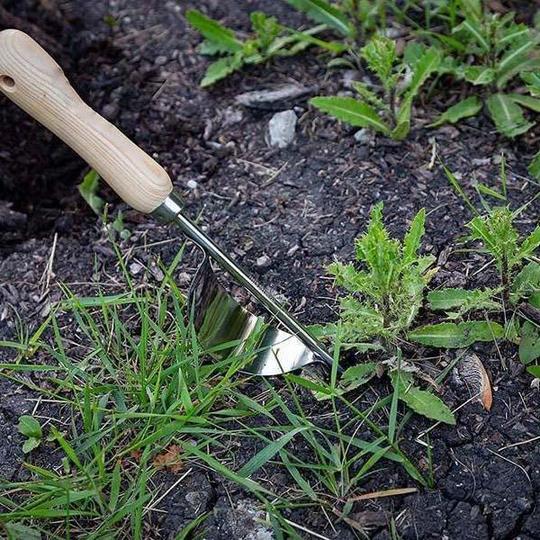 Garten-Hand-Unkrautjäter