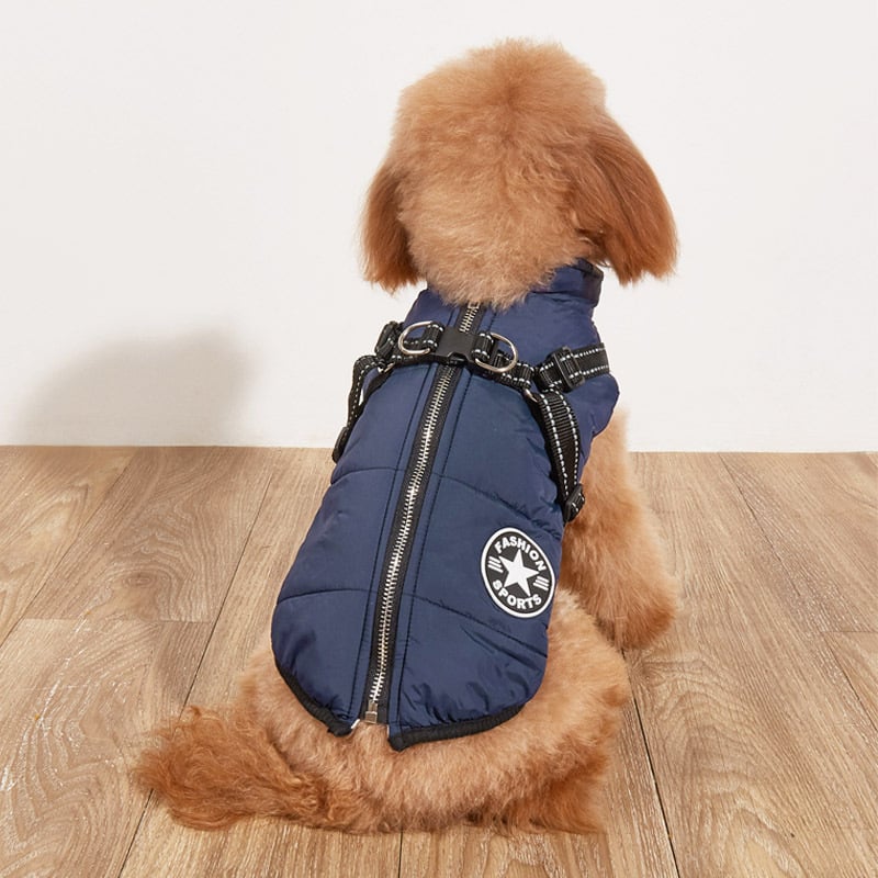 Helmut | Wasserdichte Jacke mit integriertem Klettergurt für Hunde