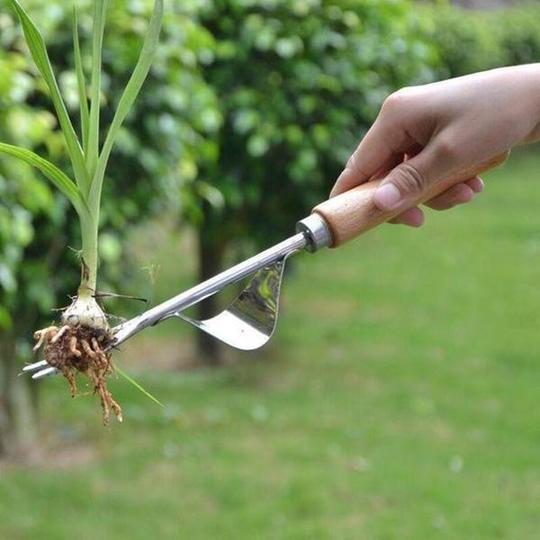 Garten-Hand-Unkrautjäter