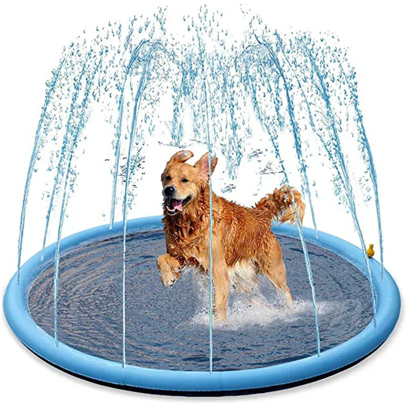 Dog Splash Party