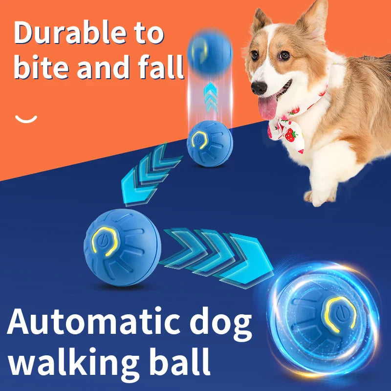 Motion Activated Rolling Ball