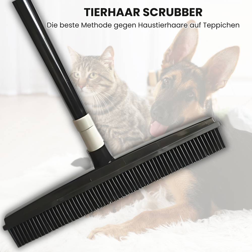 Tierhaar Scrubber: Die beste Methode gegen Tierhaare auf Teppiche