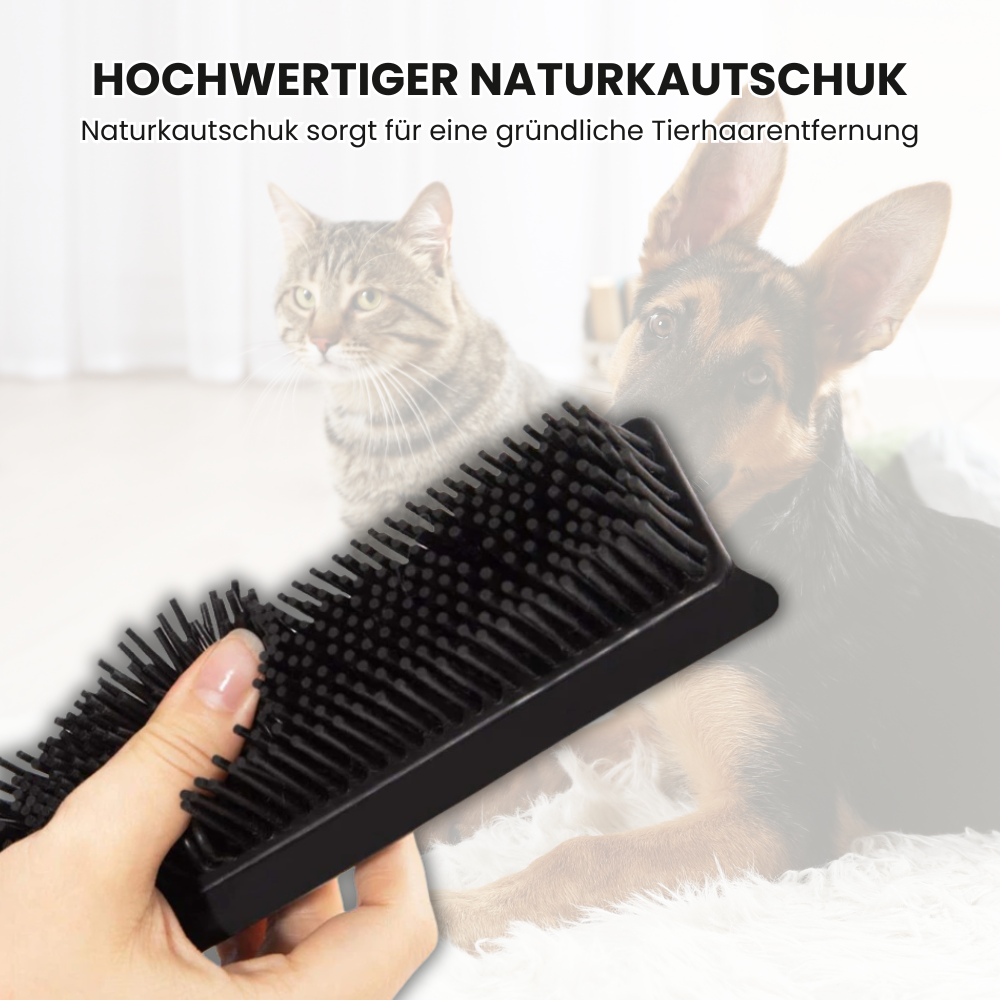 Tierhaar Scrubber: Die beste Methode gegen Tierhaare auf Teppiche