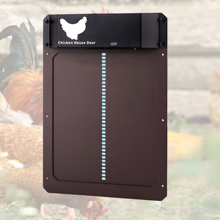 50% Rabatt | ChickGuard™️ Automatische Hühnerstalltür