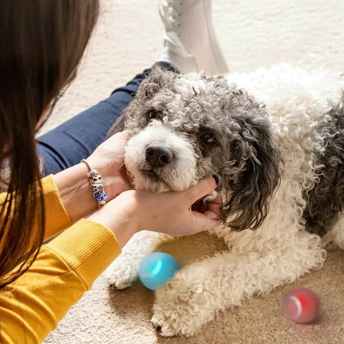 WLOOM Power Ball Selbstbewegliche Kugel. für Katzen